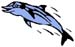 dolphin decal