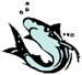 sharks graphic