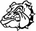 bull dog graphic