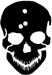 skull with bullet hole decal