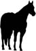 horse decal