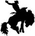 bucking horse