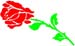 Rose-001 graphic