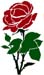 Rose-002 graphic