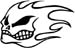 skull flame decal