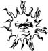 sun sticker