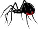 Widow2 decal