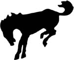 horse graphic