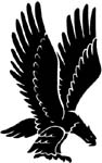 hawk 2 decal