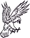 landing hawk sticker
