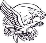 hawk double shot decal