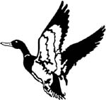 duck decal