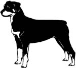 big dog decal