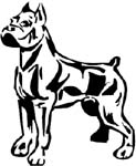 boxer dog graphic decal
