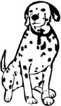 dalmation dog decal