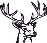 buck head decal