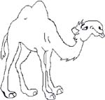 cartoon camel sticker