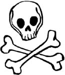 skull and bones decal