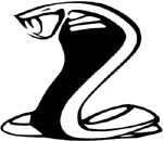 cobra sticker