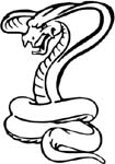 cobra2 sticker