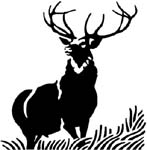 big elk decal