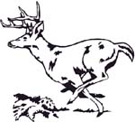 running buck graphic decal