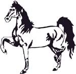 walking horse decal