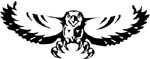 cool hawk graphic vinyl sticker