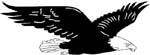 eagle decal