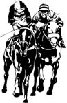 race horse vinyl decal