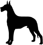 dog decal