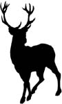 deer vinyl sticker