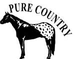 pure country vinyl horse decal