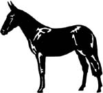 horse decal