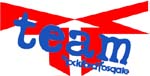 team rockford fosgate vinyl decal