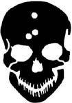 skull with bullet holes vinyl decal
