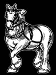 budwieser horse decal
