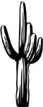cactus vinyl decal