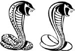 cobra vinyl decals