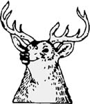 buck head vinyl decal
