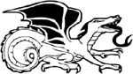 vinyl dragon decal
