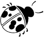 lady bug vinyl decal
