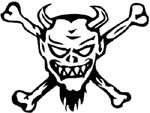 skull  and crossbones vinyl decal