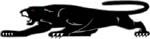 panther decal