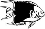 fish vinyl decal