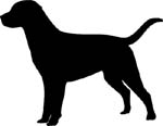 pointer dog decal