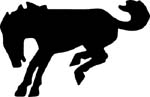horse bukin vinyl decal