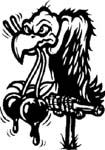 mad buzzard decal