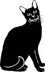 cat vinyl decal