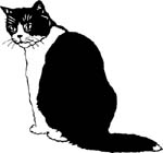 cat graphic decal